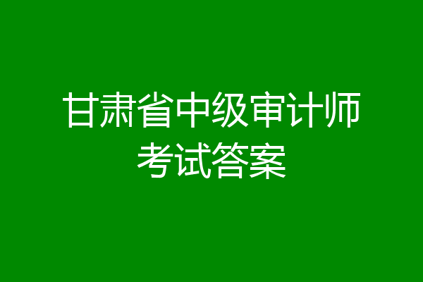 甘肃省中级审计师考试答案