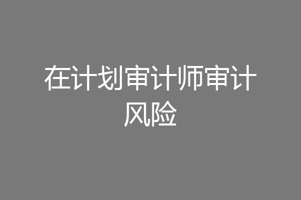 在计划审计师审计风险