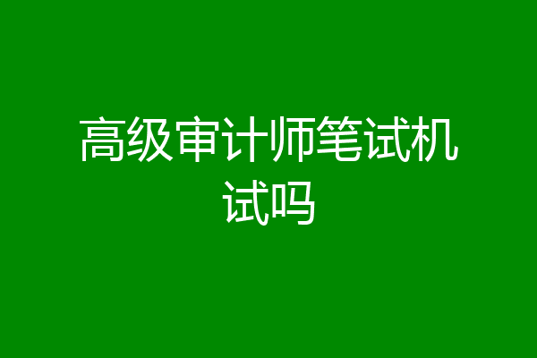 高级审计师笔试机试吗