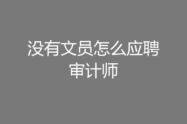 没有文员怎么应聘审计师