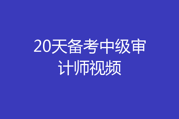 20天备考中级审计师视频