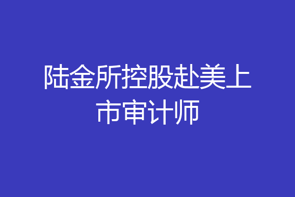 陆金所控股赴美上市审计师