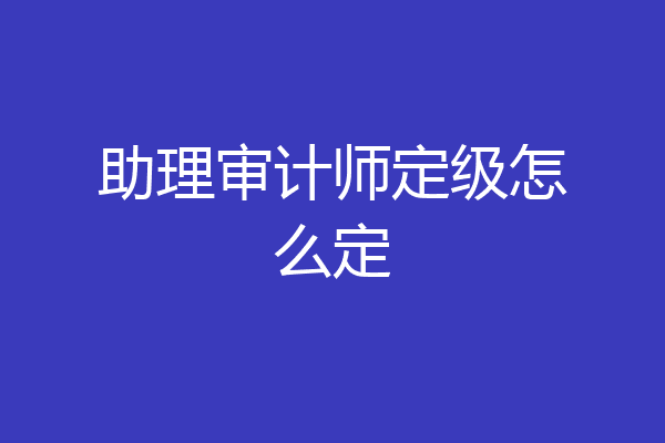 助理审计师定级怎么定