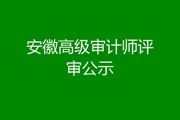 安徽高级审计师评审公示