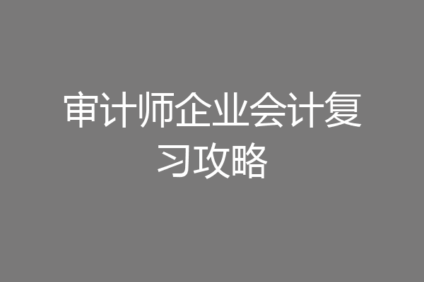 审计师企业会计复习攻略