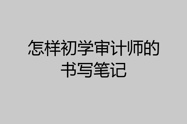 怎样初学审计师的书写笔记
