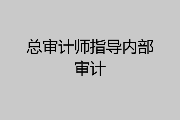 总审计师指导内部审计