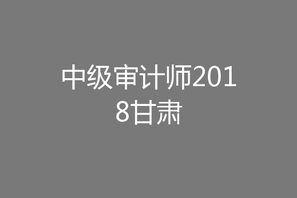 中级审计师2018甘肃