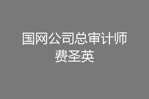 国网公司总审计师费圣英