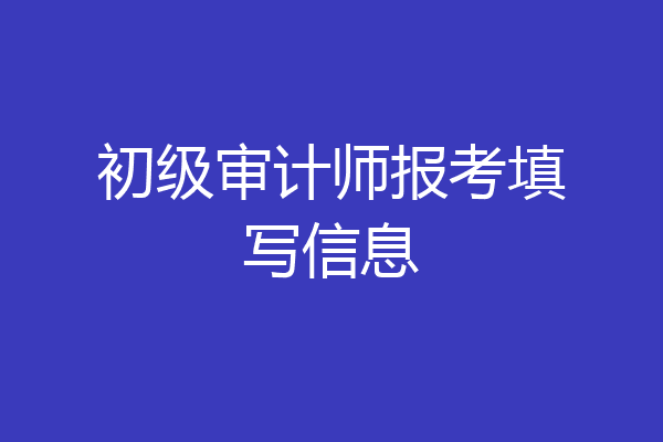 初级审计师报考填写信息