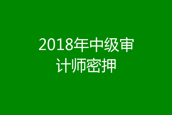 2018年中级审计师密押