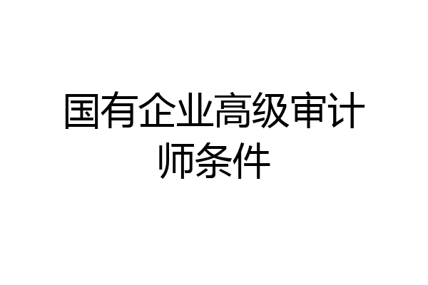 国有企业高级审计师条件