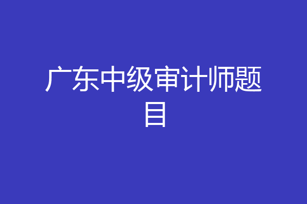 广东中级审计师题目