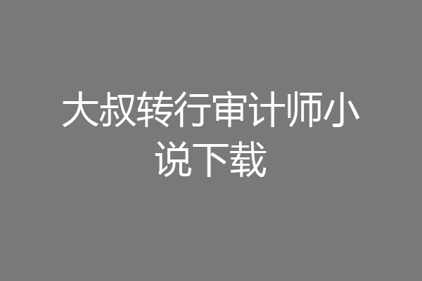 大叔转行审计师小说下载