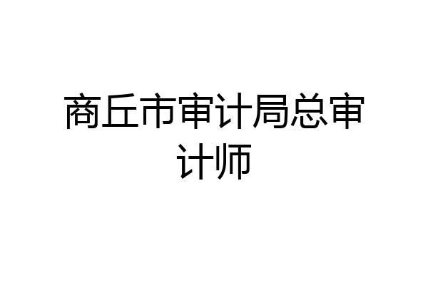 商丘市审计局总审计师