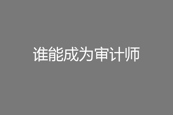 谁能成为审计师