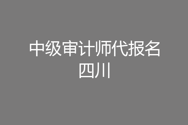 中级审计师代报名四川