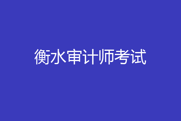 衡水审计师考试