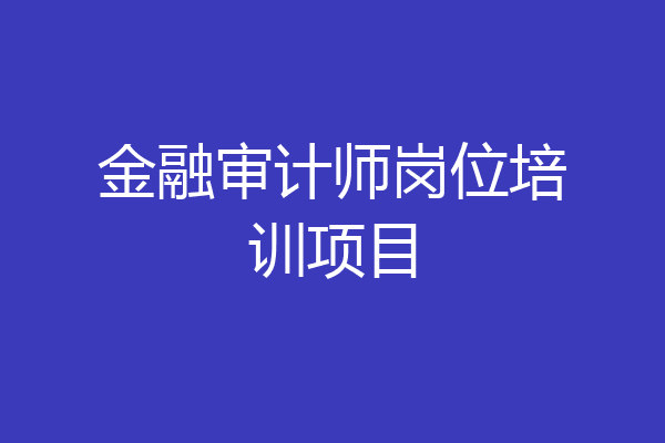 金融审计师岗位培训项目