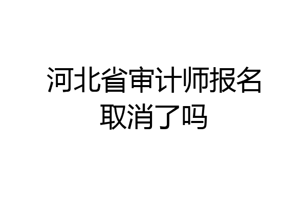河北省审计师报名取消了吗