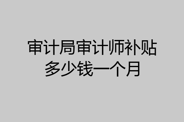 审计局审计师补贴多少钱一个月