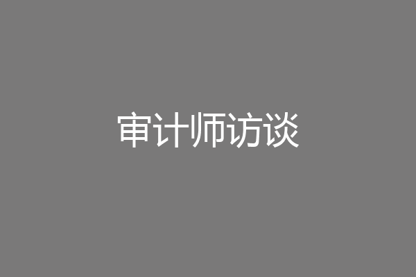 审计师访谈