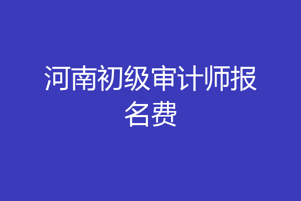河南初级审计师报名费