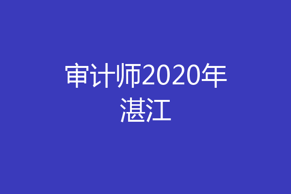 审计师2020年湛江