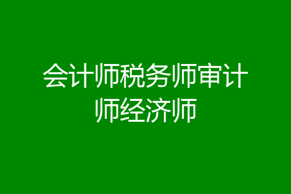 会计师税务师审计师经济师