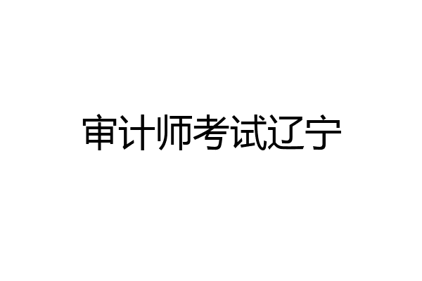 审计师考试辽宁
