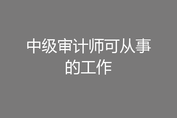 中级审计师可从事的工作