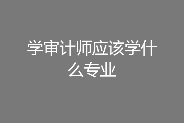 学审计师应该学什么专业