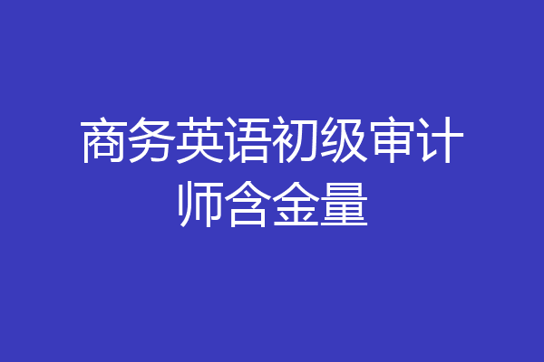商务英语初级审计师含金量