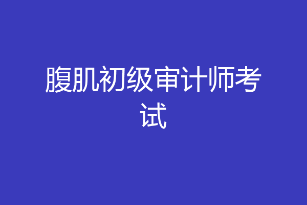 腹肌初级审计师考试