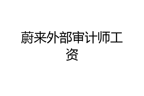 蔚来外部审计师工资