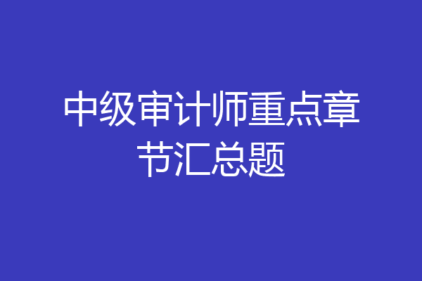 中级审计师重点章节汇总题
