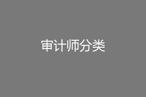 审计师分类