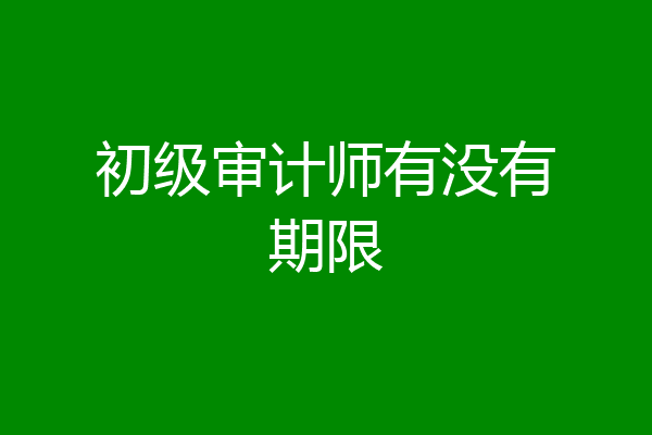 初级审计师有没有期限