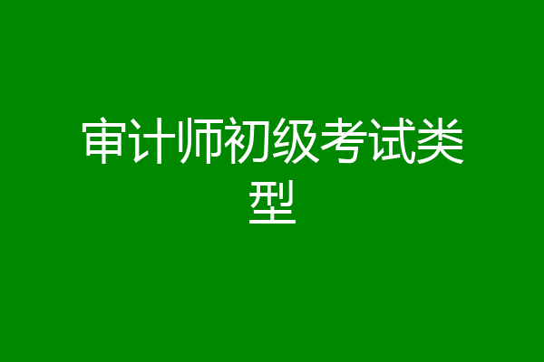 审计师初级考试类型