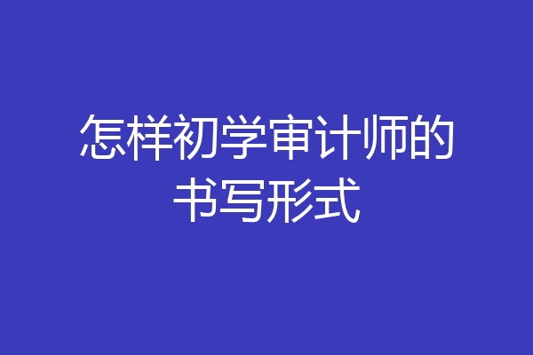 怎样初学审计师的书写形式