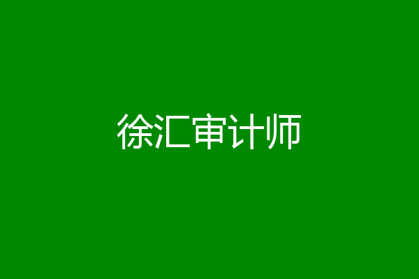 徐汇审计师