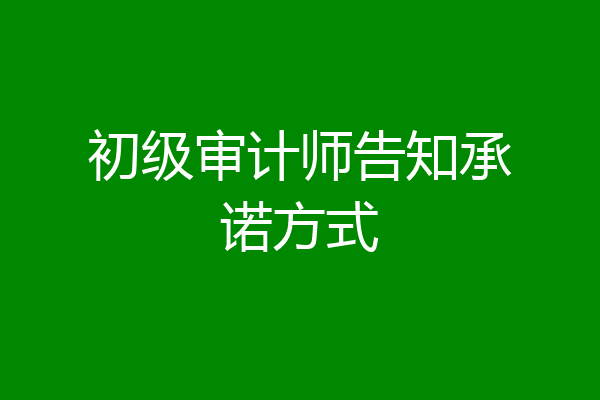 初级审计师告知承诺方式