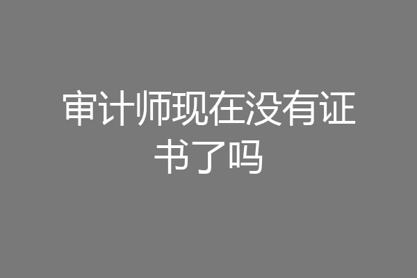 审计师现在没有证书了吗