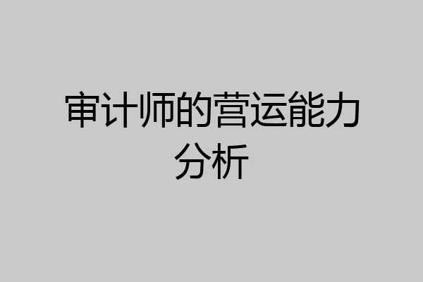 审计师的营运能力分析