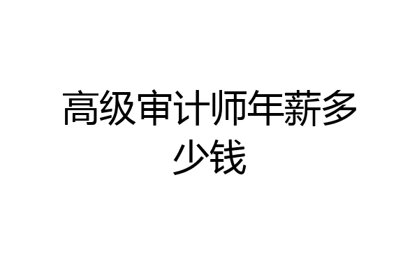 高级审计师年薪多少钱