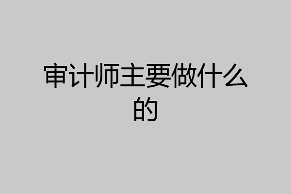 审计师主要做什么的