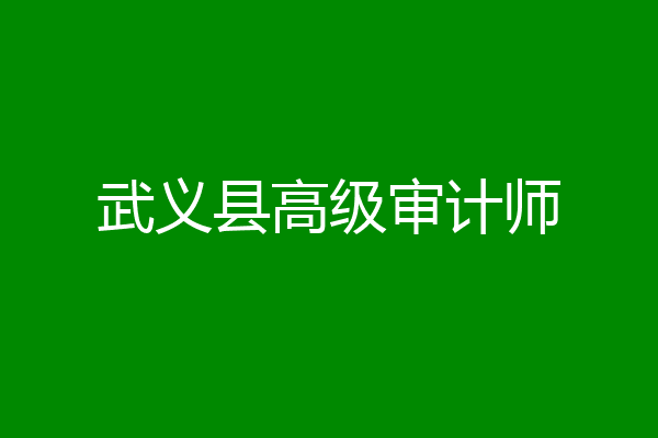 武义县高级审计师
