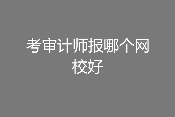 考审计师报哪个网校好