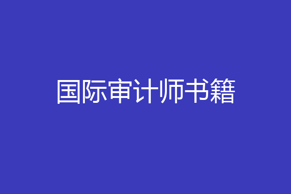 国际审计师书籍