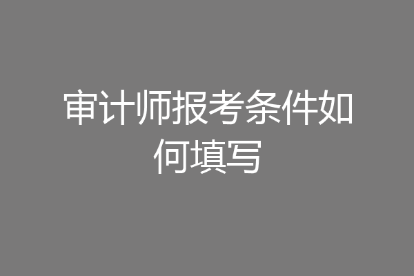审计师报考条件如何填写